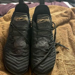 They are Nike leBron 16 I’m King’ they are gold and black  with a purple emblem